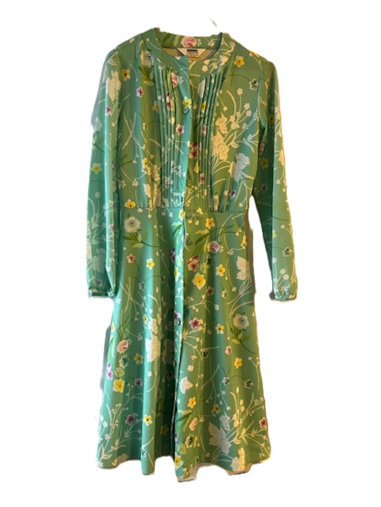 Green Polyester gown for ladies - Picture 1 of 5